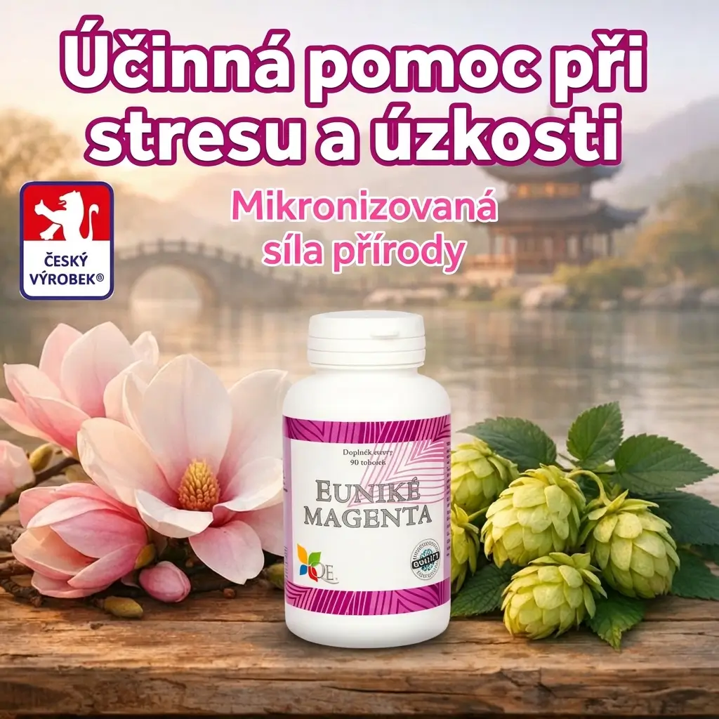Zajímavosti