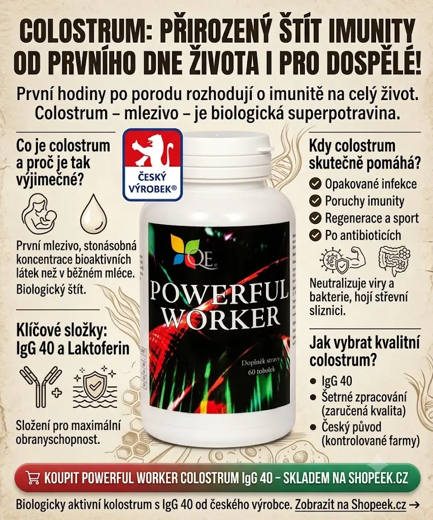 Vše o colostru