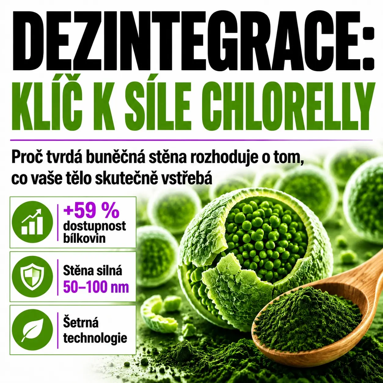 Dezintegrovaná chlorella